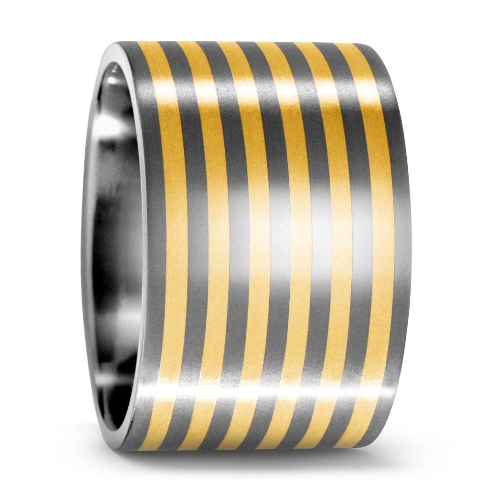 Bague Titane, Or jaune 18K