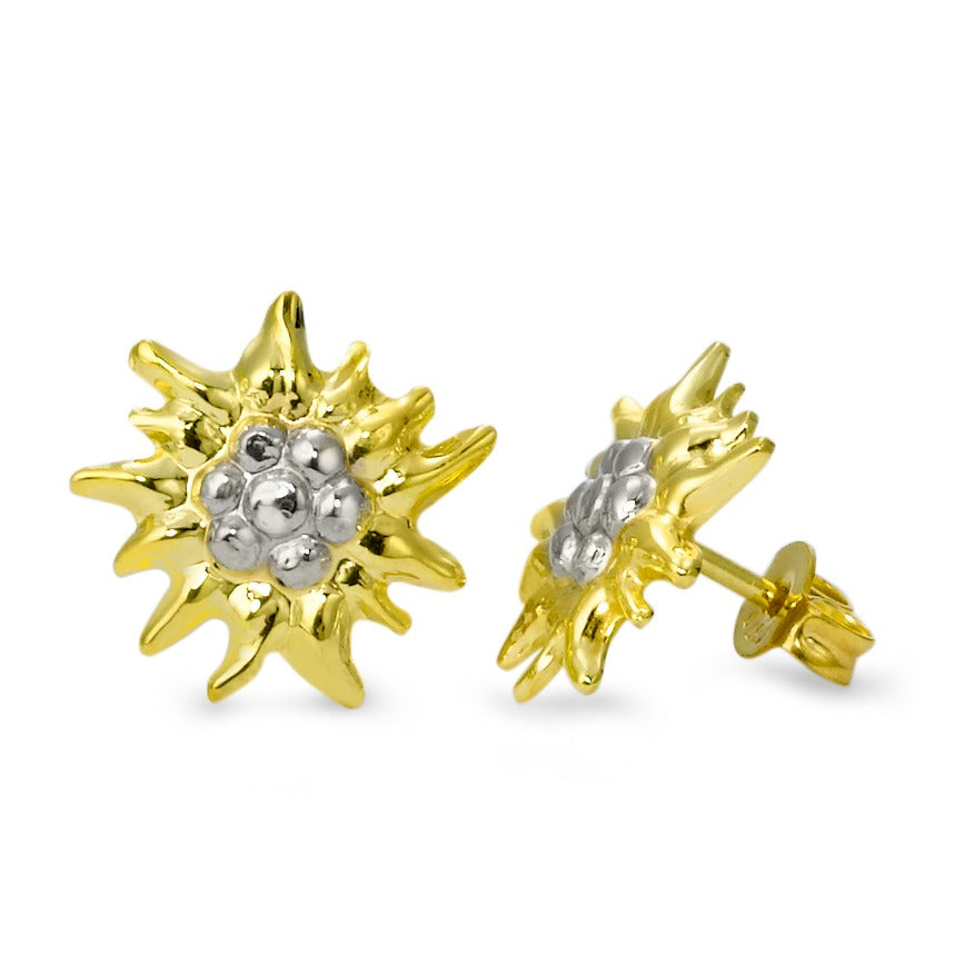 Clous d'oreilles Or jaune 9K Edelweiss Ø12 mm